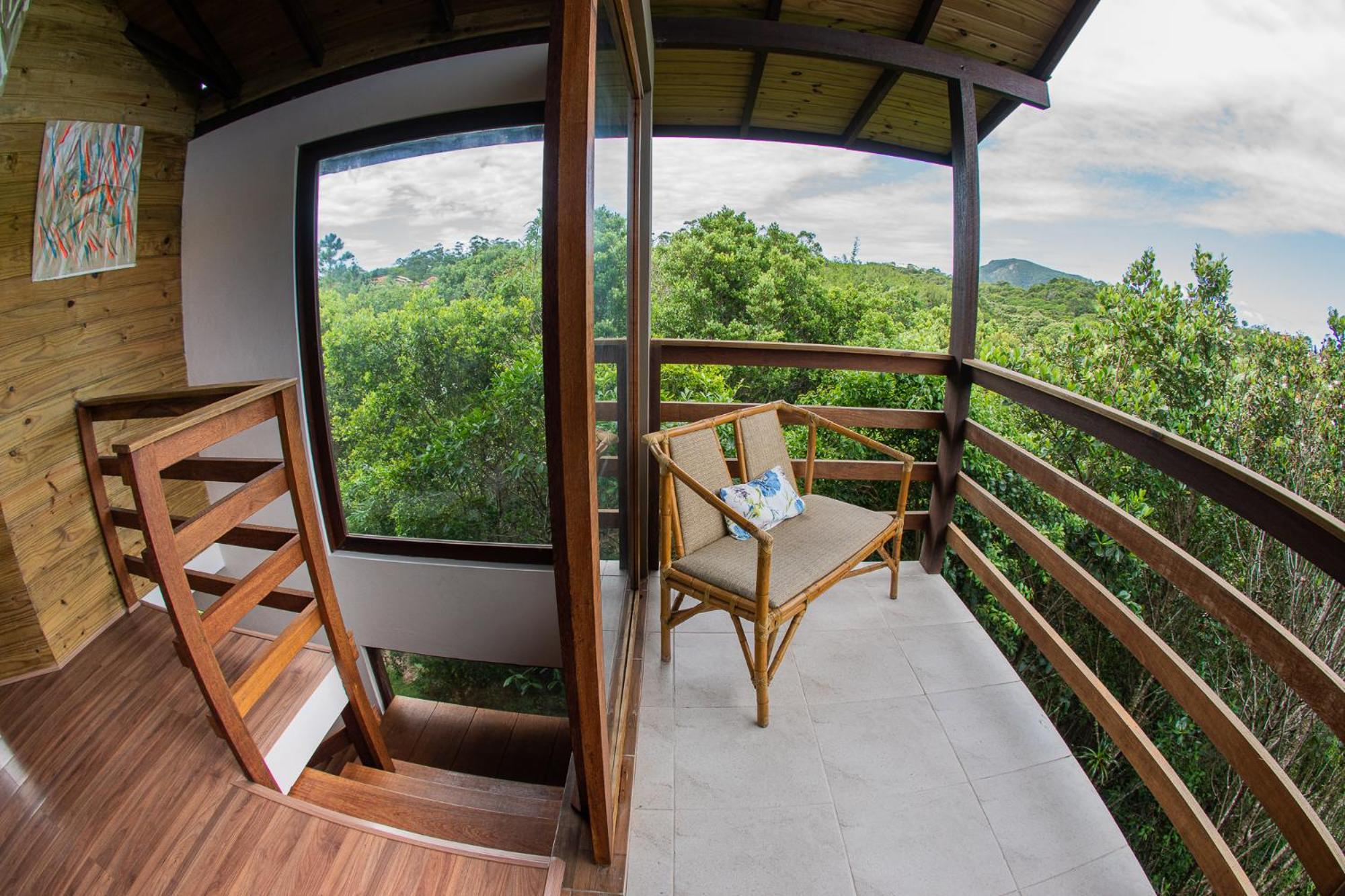 Campo de férias Jungle Floripa